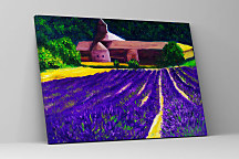 Obraz Maľované levanduľové pole zs1334
